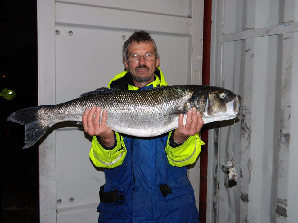 27th Alderney Angling Festival | Planet Sea Fishing