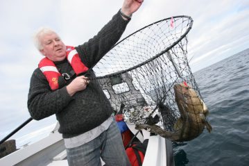 a nice Orkney cod in the net