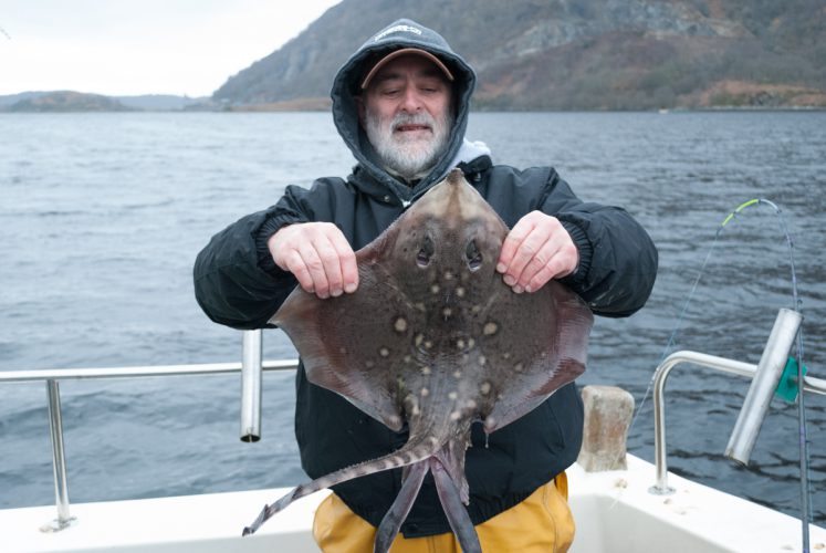 Rays on the radar | Planet Sea Fishing