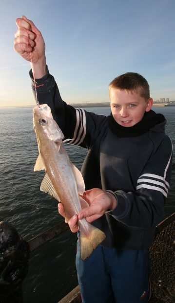 a youngster with a Roker pier whiting
