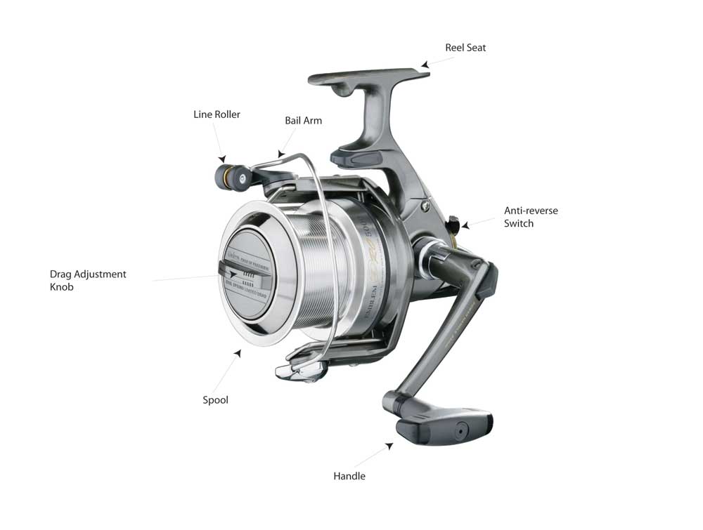 Sea Angling for Beginners – Fixed Spool Reels