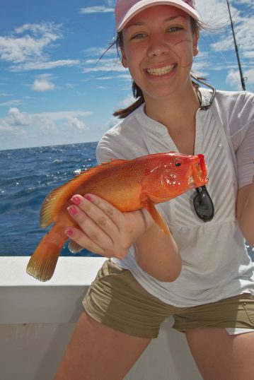 mexico fishing strawberry grouper