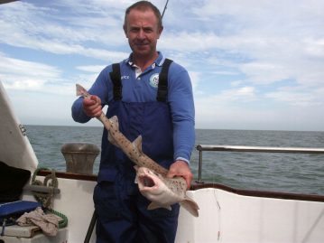 Skegness club boat fishing Holyhead bull huss