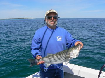 Dave Bois with a striped bass