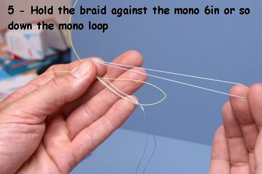 Joining Mono To Braid With The Albright Knot