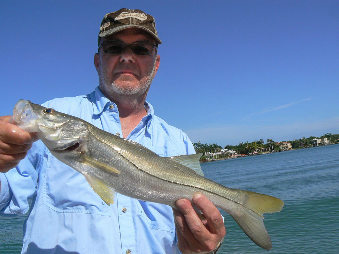 snook fishing naples florida