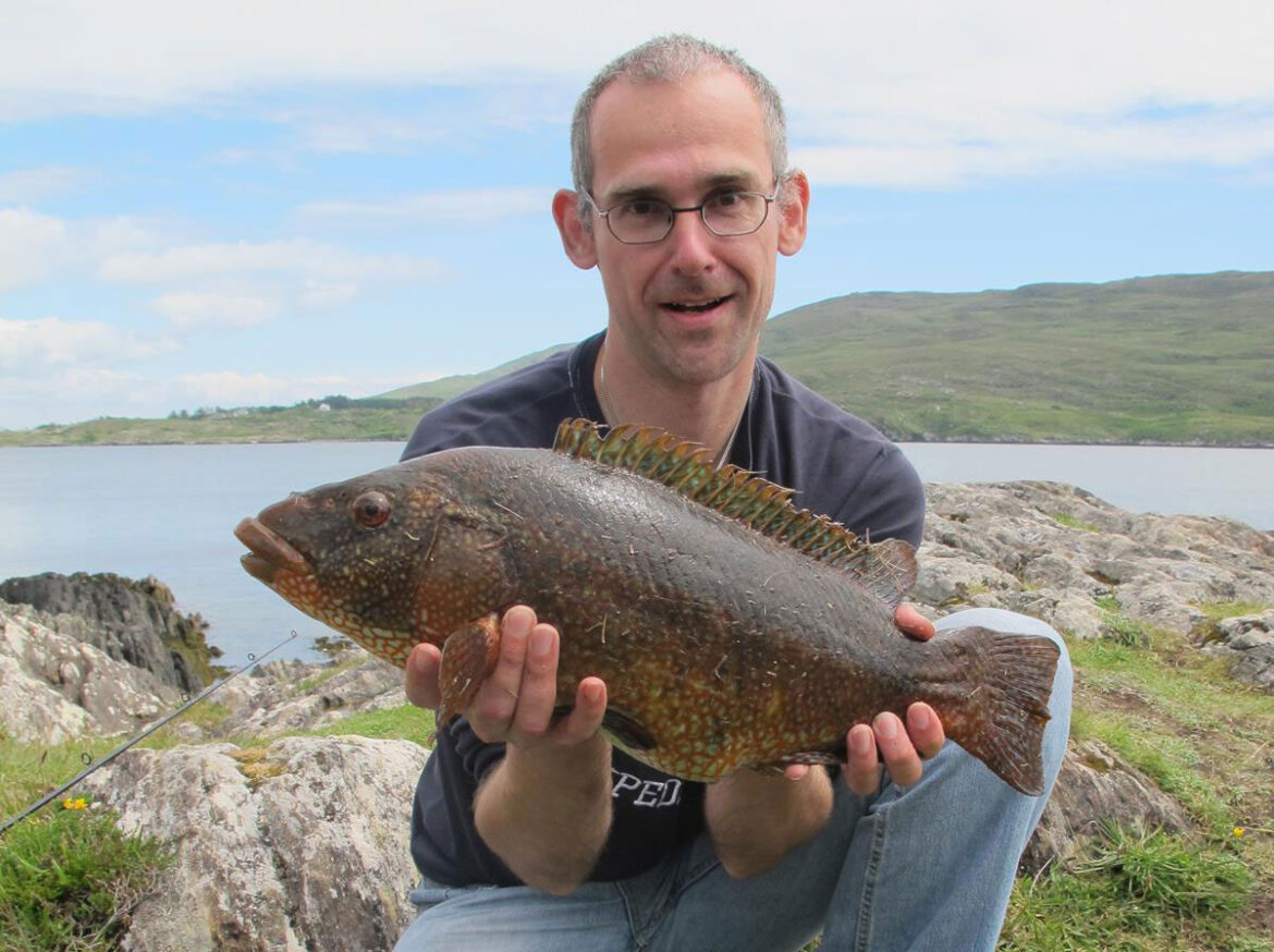 Beara Shore Angling ballan wrasse