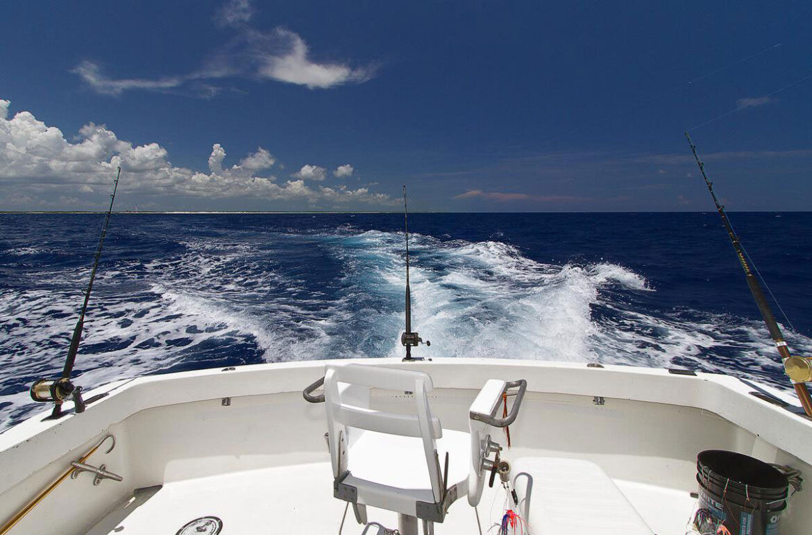 Three of the five rods mounted in the cockpit