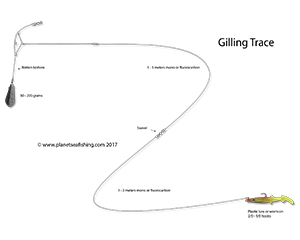 gilling-trace-list-page-2018