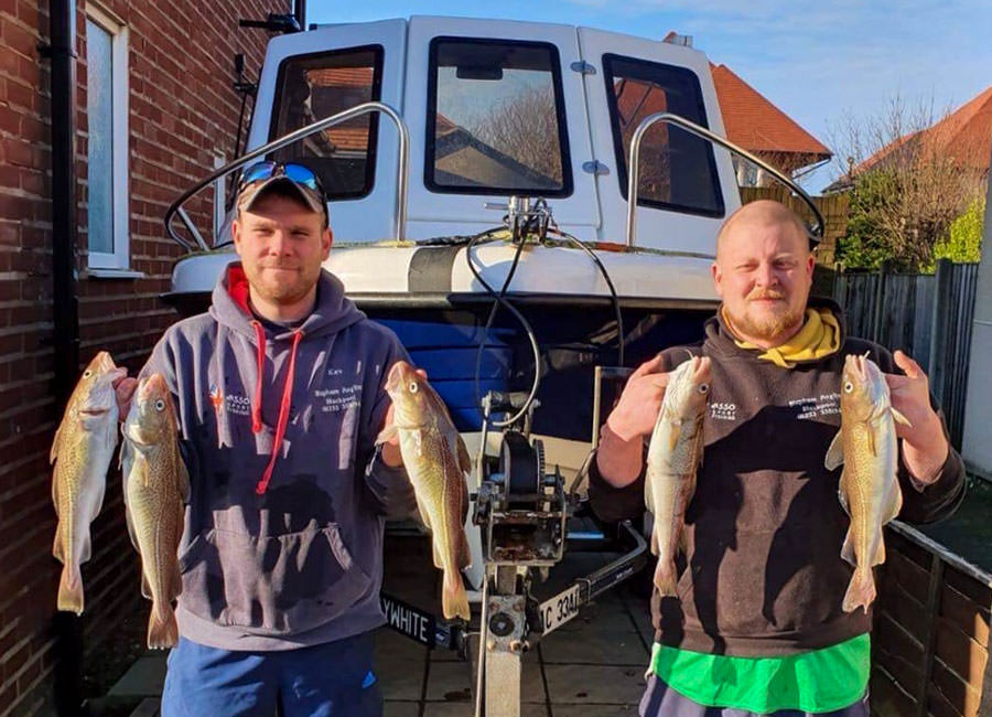 Wyre club codling