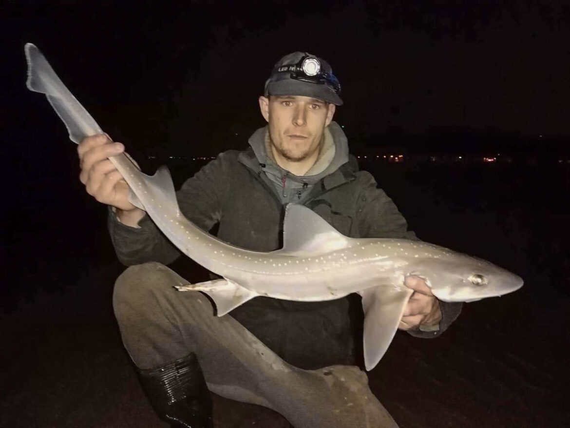 Guy among the hounds