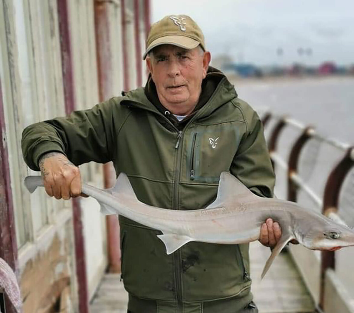 Pier-member-Lee-Ferguson-pictured-with-a-nice-smooth-hound
