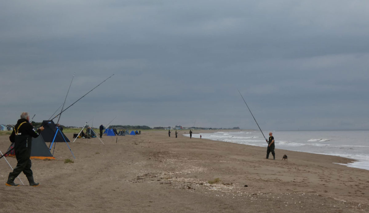 The beach looking North