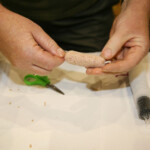 fishing-bait-armamesh-0021