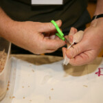 fishing-bait-armamesh-0023