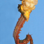 fishing-bait-cocktail-0001