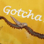 fishing-bait-cocktail-0005