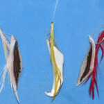 fishing-bait-mackerel-0005