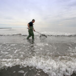 fishing-bait-shrimp-prawn-0002