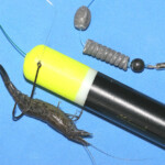 fishing-bait-shrimp-prawn-0007