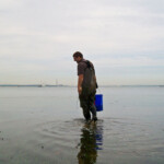 fishing-bait-spider-crab-0007