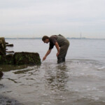 fishing-bait-spider-crab-0008