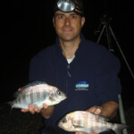 fishing-black-bream-rattle-therapy0004