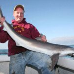 fishing-boat-alderney-tope-0004