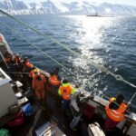 fishing-boat-efsa-dalvik-iceland-2010-0005