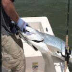 fishing-boat-florida-tarpon-0012