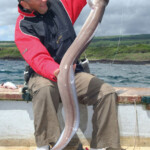 fishing-boat-loch-aline-skate-0003