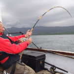 fishing-boat-loch-aline-skate-0007