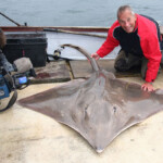 fishing-boat-loch-aline-skate-0012