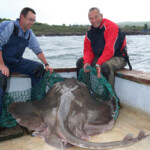 fishing-boat-loch-aline-skate-0013