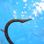 fishing-boat-loch-aline-skate-0015