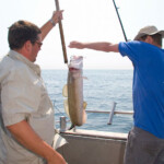 fishing-boat-lymington-ling-0006
