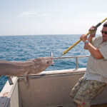 fishing-boat-lymington-ling-0022