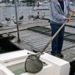 fishing-boat-san-diego-0001