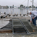 fishing-boat-san-diego-0003