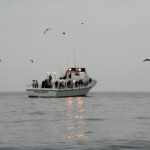 fishing-boat-san-diego-0005