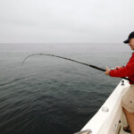 fishing-boat-san-diego-0010