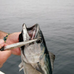 fishing-boat-san-diego-0012