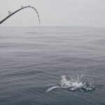 fishing-boat-san-diego-0014