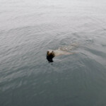 fishing-boat-san-diego-0017