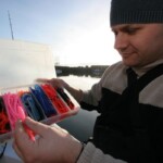 fishing-boat-scrabster-species-hunting-0002