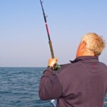 fishing-boat-species-spotlight-black-bream-0002