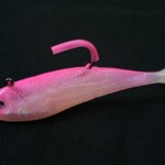 fishing-cod-on-shads-0002