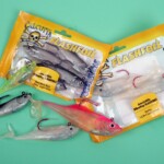 fishing-cod-on-shads-0003