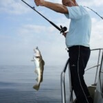 fishing-cod-on-shads-0005