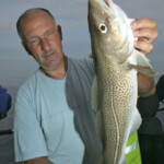 fishing-cod-on-shads-0006